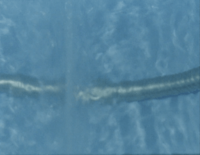 A still image taken from 16mm film footage showing a swimming pool blue plastic tub being filled with water. The image is close up, and partly out of focus, showing a blue background and movement in the water. The still is taken from the film On Being and Bathing (2021) by Anna Ulrikke Andersen and Abi Palmer.