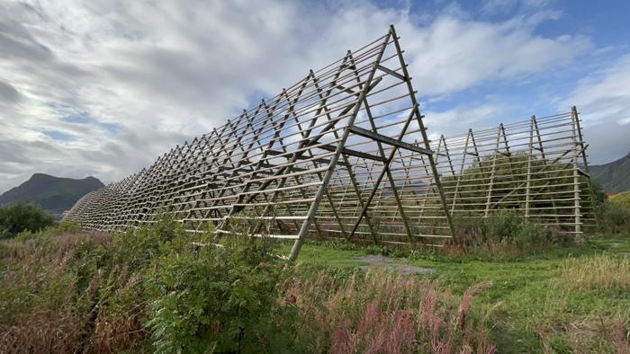 <p>Figure 48: Triangular structures for drying fish in Lofoten (Photo: You Nakai). </p>